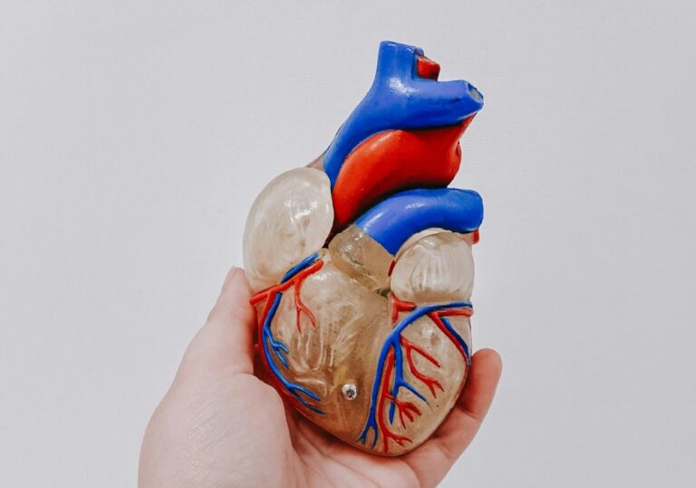 %d8%a7%d9%84%d9%88%d8%b7%d9%86%d9%8a %d9%84%d9%84%d9%82%d9%84%d8%a8 %d9%8a%d8%ad%d8%b0%d8%b1 %d9%85%d9%86 %d9%85%d8%ae%d8%a7%d8%b7%d8%b1 %d8%aa%d8%b5%d9%84%d8%a8 %d8%a7%d9%84%d8%b4%d8%b1%d8%a7