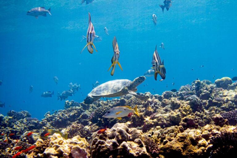 %d8%a8%d8%a7%d9%84%d8%aa%d9%81%d8%a7%d8%b5%d9%8a%d9%84 %d8%a3%d9%88%d9%84 %d9%85%d8%a4%d8%aa%d9%85%d8%b1 %d8%af%d9%88%d9%84%d9%8a %d9%81%d9%8a %d8%ac%d8%af%d8%a9 %d9%84%d9%84%d9%85%d8%ad%d8%a7%d9%81