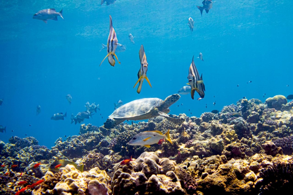 %d8%a8%d8%a7%d9%84%d8%aa%d9%81%d8%a7%d8%b5%d9%8a%d9%84 %d8%a3%d9%88%d9%84 %d9%85%d8%a4%d8%aa%d9%85%d8%b1 %d8%af%d9%88%d9%84%d9%8a %d9%81%d9%8a %d8%ac%d8%af%d8%a9 %d9%84%d9%84%d9%85%d8%ad%d8%a7%d9%81