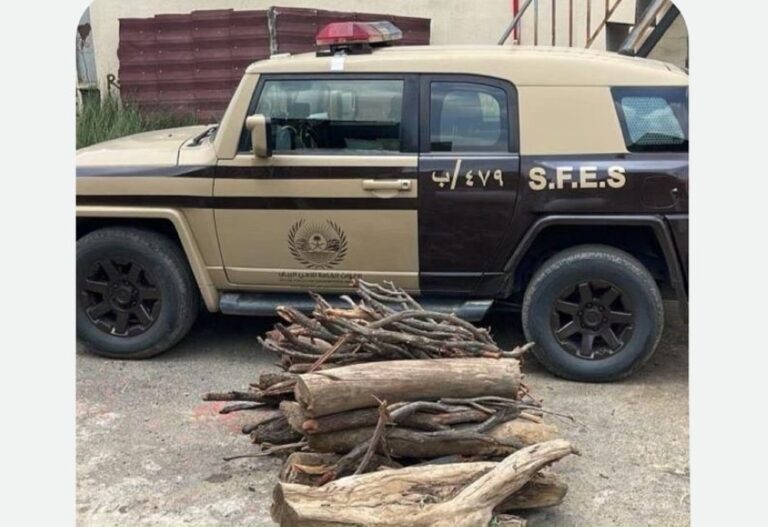 %d8%a7%d9%84%d9%82%d9%88%d8%a9 %d8%a7%d9%84%d8%ae%d8%a7%d8%b5%d8%a9 %d9%84%d8%a3%d9%85%d9%86 %d8%a7%d9%84%d8%b7%d8%b1%d9%82 %d8%a8%d9%85%d9%86%d8%b7%d9%82%d8%a9 %d8%a7%d9%84%d9%82%d8%b5%d9%8a%d9%85