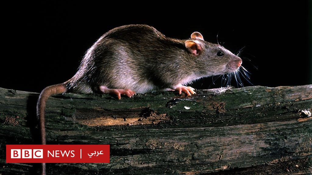 %d8%a7%d9%84%d8%aa%d8%ba%d9%8a%d8%b1 %d8%a7%d9%84%d9%85%d9%86%d8%a7%d8%ae%d9%8a %d9%83%d9%8a%d9%81 %d9%8a%d8%a4%d8%af%d9%8a %d8%a7%d8%b1%d8%aa%d9%81%d8%a7%d8%b9 %d8%af%d8%b1%d8%ac%d8%a7%d8%aa %d8%a7