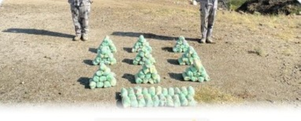 %d8%a5%d8%ad%d8%a8%d8%b7 %d8%aa%d9%87%d8%b1%d9%8a%d8%a8 100 %d9%83%d9%8a%d9%84%d9%88%d8%ac%d8%b1%d8%a7%d9%85 %d9%85%d9%86 %d9%86%d8%a8%d8%a7%d8%aa %d8%a7%d9%84%d9%82%d8%a7%d8%aa %d8%a7%d9%84%d9%85