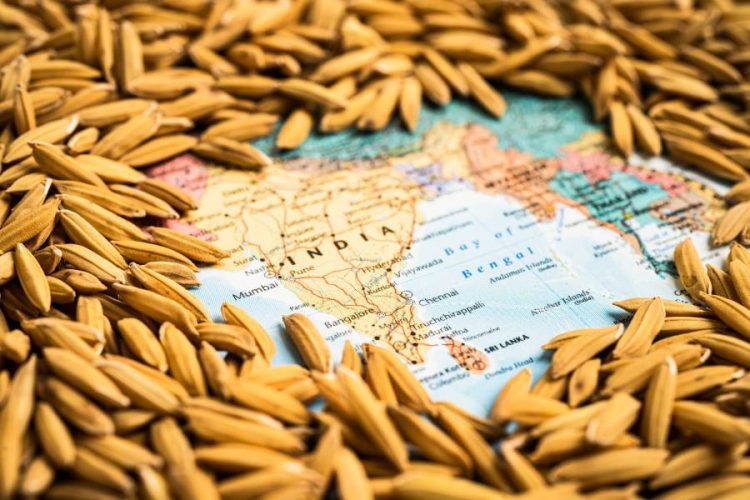 %d8%a8%d8%b3%d8%a8%d8%a8 %d8%a5%d8%b9%d8%a7%d9%86%d8%a7%d8%aa %d8%a7%d9%84%d8%a3%d8%b1%d8%b2 %d9%88%d8%a7%d9%84%d9%82%d9%85%d8%ad %d8%a3%d9%85%d9%8a%d8%b1%d9%83%d8%a7 %d8%aa%d9%82%d8%af%d9%85 %d8%ab