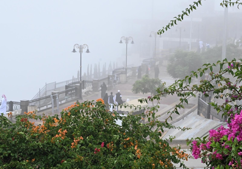 %d8%b9%d8%b3%d9%8a%d8%b1 %d9%88%d8%ac%d8%a7%d8%b2%d8%a7%d9%86 %d8%a5%d8%ad%d8%a8%d8%a7%d8%b7 3 %d9%85%d8%ad%d8%a7%d9%88%d9%84%d8%a7%d8%aa %d9%84%d8%aa%d9%87%d8%b1%d9%8a%d8%a8 %d8%a7%d9%84%d9%82