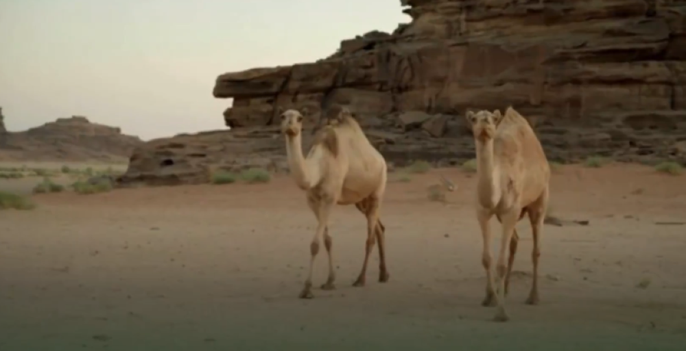 %d8%aa%d9%82%d8%af%d9%8a%d9%85 %d8%aa%d8%ba%d8%b0%d9%8a%d8%a9 %d9%85%d8%aa%d9%88%d8%a7%d8%b2%d9%86%d8%a9 %d9%88%d8%a7%d9%84%d8%a7%d9%87%d8%aa%d9%85%d8%a7%d9%85 %d8%a8%d8%a7%d9%84%d8%b1%d8%a7%d8%ad