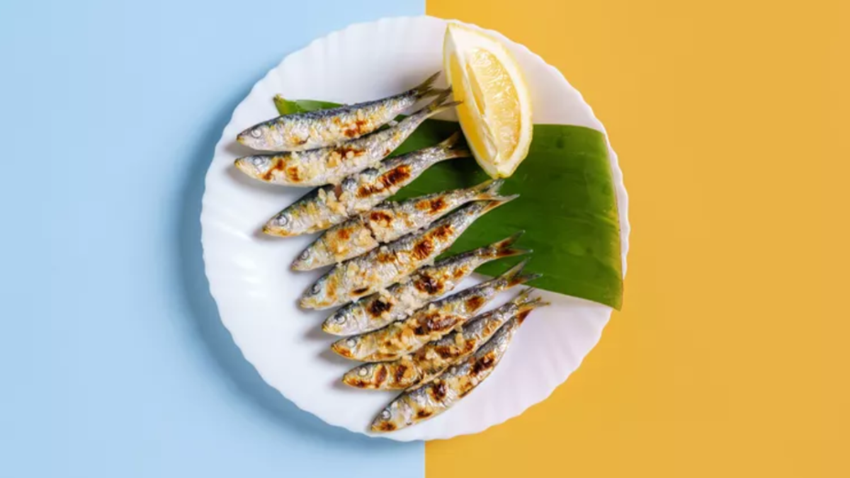 7 %d8%a3%d9%86%d9%88%d8%a7%d8%b9 %d9%85%d9%86 %d8%a7%d9%84%d8%a3%d8%b3%d9%85%d8%a7%d9%83 %d9%8a%d8%ac%d8%a8 %d8%a7%d9%84%d8%a5%d9%83%d8%ab%d8%a7%d8%b1 %d9%85%d9%86 %d8%aa%d9%86%d8%a7%d9%88%d9%84%d9%87