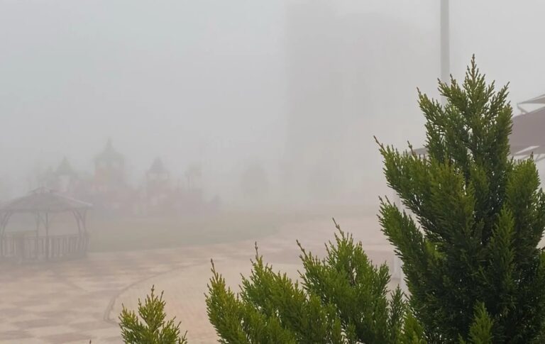 %d8%b7%d9%82%d8%b3 %d8%a7%d9%84%d8%b5%d8%a8%d8%a7%d8%ad %d8%a7%d9%84%d8%a8%d8%a7%d9%83%d8%b1 %d8%b6%d8%a8%d8%a7%d8%a8 %d8%ae%d9%81%d9%8a%d9%81 %d8%a5%d9%84%d9%89 %d9%85%d8%aa%d9%88%d8%b3%d8%b7