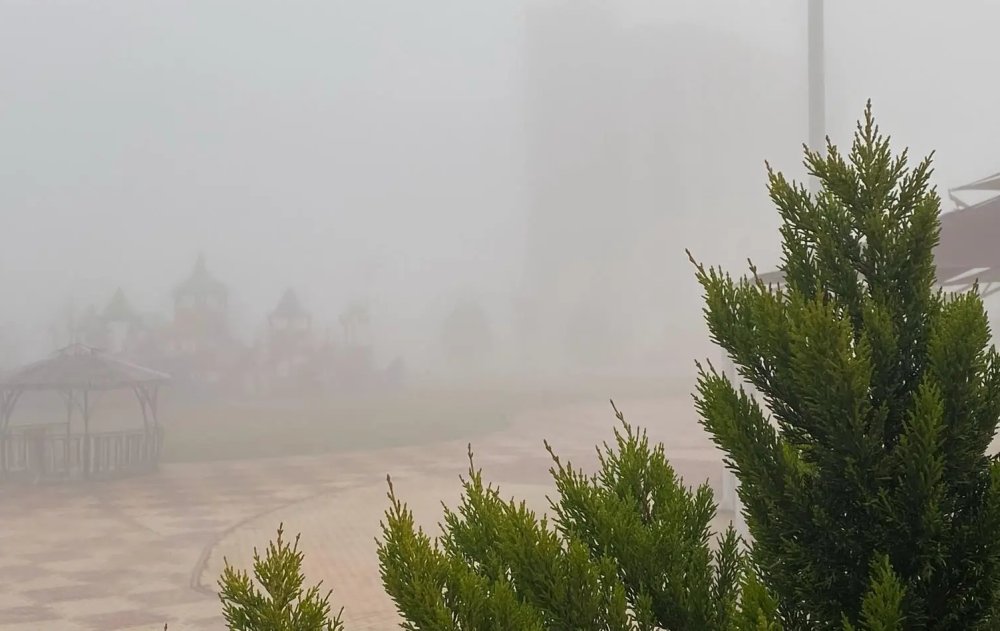 %d8%b7%d9%82%d8%b3 %d8%a7%d9%84%d8%b5%d8%a8%d8%a7%d8%ad %d8%a7%d9%84%d8%a8%d8%a7%d9%83%d8%b1 %d8%b6%d8%a8%d8%a7%d8%a8 %d8%ae%d9%81%d9%8a%d9%81 %d8%a5%d9%84%d9%89 %d9%85%d8%aa%d9%88%d8%b3%d8%b7