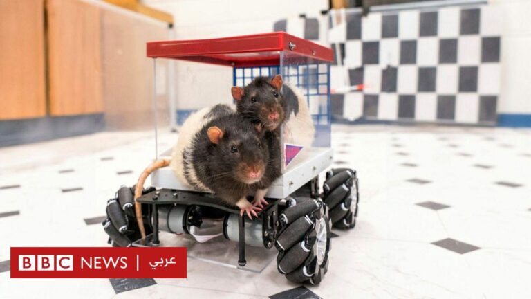 %d9%81%d8%a6%d8%b1%d8%a7%d9%86 %d8%aa%d8%aa%d8%b9%d9%84%d9%85 %d9%82%d9%8a%d8%a7%d8%af%d8%a9 %d8%a7%d9%84%d8%b3%d9%8a%d8%a7%d8%b1%d8%a7%d8%aa %d9%81%d9%8a %d8%a5%d8%b7%d8%a7%d8%b1 %d8%aa%d8%ac