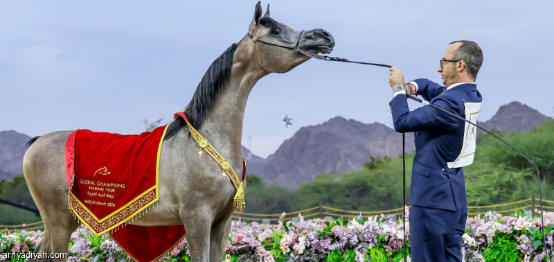 %d8%a7%d9%84%d8%a3%d8%b1%d8%a8%d8%b9%d8%a7%d8%a1 %d8%a7%d9%86%d8%b7%d9%84%d8%a7%d9%82%d8%a9 %d8%ac%d9%88%d9%84%d8%a9 %d8%a7%d9%84%d8%ac%d9%8a%d8%a7%d8%af %d8%a7%d9%84%d8%b9%d8%b1%d8%a8%d9%8a%d8%a9