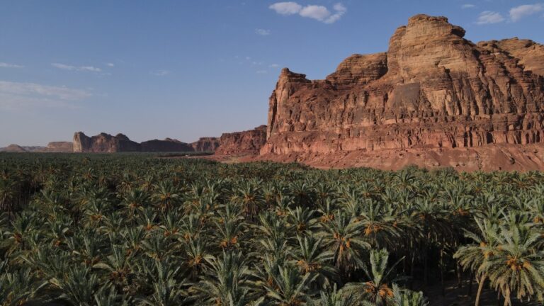 %d8%ae%d8%a8%d8%b1%d8%a7%d8%a1 %d8%af%d9%88%d9%84%d9%8a%d9%88%d9%86 %d9%8a%d8%b7%d8%b1%d8%ad%d9%88%d9%86 %d8%ad%d9%84%d9%88%d9%84%d9%8b%d8%a7 %d9%85%d8%b3%d8%aa%d8%af%d8%a7%d9%85%d8%a9 %d9%84%d8%aa