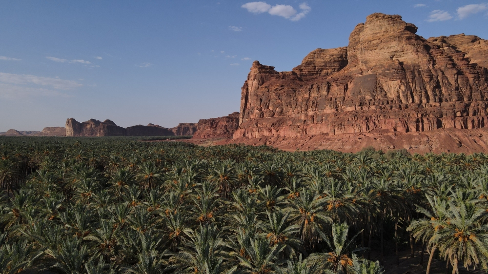 %d8%ae%d8%a8%d8%b1%d8%a7%d8%a1 %d8%af%d9%88%d9%84%d9%8a%d9%88%d9%86 %d9%8a%d8%b7%d8%b1%d8%ad%d9%88%d9%86 %d8%ad%d9%84%d9%88%d9%84%d9%8b%d8%a7 %d9%85%d8%b3%d8%aa%d8%af%d8%a7%d9%85%d8%a9 %d9%84%d8%aa