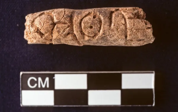 %d9%84%d9%85 %d9%8a%d8%b9%d8%aa%d9%85%d8%af%d9%87%d8%a7 %d8%a7%d9%84%d9%85%d8%b5%d8%b1%d9%8a%d9%88%d9%86 %d8%a7%d9%84%d9%82%d8%af%d9%85%d8%a7%d8%a1 %d8%a7%d9%83%d8%aa%d8%b4%d8%a7%d9%81 %d8%b5%d8%a7