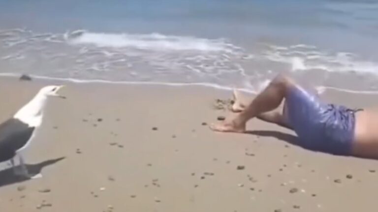 %d9%84%d9%86 %d8%aa%d8%b5%d8%af%d9%82 %d9%85%d8%a7 %d8%aa%d8%b3%d9%85%d8%b9%d9%87 %d8%b7%d8%a7%d8%a6%d8%b1 %d8%a7%d9%84%d9%86%d9%88%d8%b1%d8%b3 %d9%8a%d8%b6%d8%ad%d9%83 %d8%b3%d8%a7%d8%ae%d8%b1