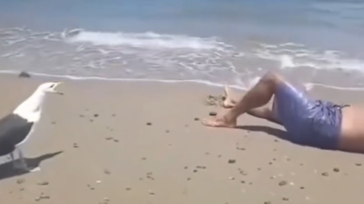 %d9%84%d9%86 %d8%aa%d8%b5%d8%af%d9%82 %d9%85%d8%a7 %d8%aa%d8%b3%d9%85%d8%b9%d9%87 %d8%b7%d8%a7%d8%a6%d8%b1 %d8%a7%d9%84%d9%86%d9%88%d8%b1%d8%b3 %d9%8a%d8%b6%d8%ad%d9%83 %d8%b3%d8%a7%d8%ae%d8%b1