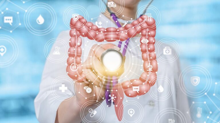 %d8%a3%d8%a8%d8%b1%d8%b2%d9%87%d8%a7 %d8%a7%d9%84%d8%a8%d8%b5%d9%84 %d9%88%d8%a7%d9%84%d8%ab%d9%88%d9%85 %d8%a3%d9%81%d8%b6%d9%84 6 %d8%a3%d8%b7%d8%b9%d9%85%d8%a9 %d9%82%d8%a7%d8%a8%d9%84%d8%a9