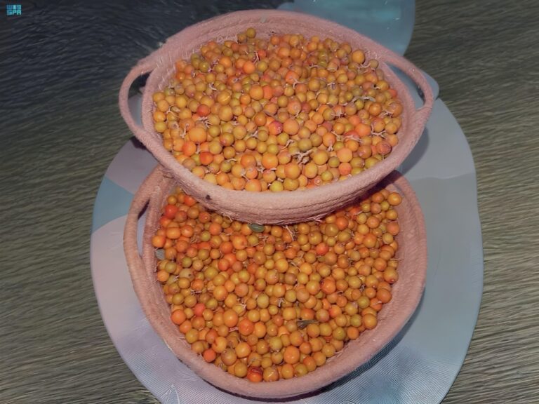 %d8%b5%d9%88%d8%b1 %d9%86%d8%a8%d9%82 %d8%a7%d9%84%d8%b3%d8%af%d8%b1 %d8%a7%d9%84%d8%a8%d8%b1%d9%8a %d9%85%d9%86%d8%ac%d9%85 %d8%a7%d9%84%d9%81%d9%8a%d8%aa%d8%a7%d9%85%d9%8a%d9%86%d8%a7%d8%aa