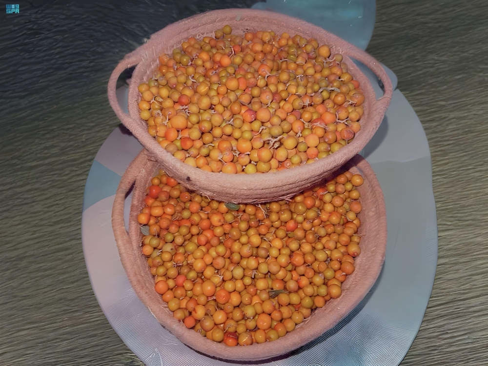 %d8%b5%d9%88%d8%b1 %d9%86%d8%a8%d9%82 %d8%a7%d9%84%d8%b3%d8%af%d8%b1 %d8%a7%d9%84%d8%a8%d8%b1%d9%8a %d9%85%d9%86%d8%ac%d9%85 %d8%a7%d9%84%d9%81%d9%8a%d8%aa%d8%a7%d9%85%d9%8a%d9%86%d8%a7%d8%aa