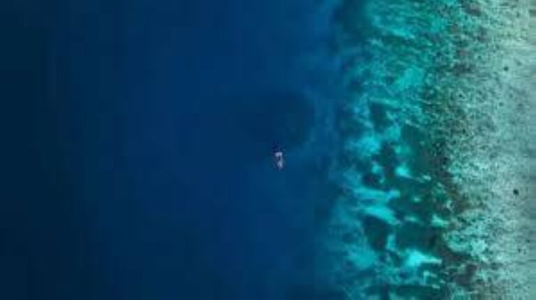 %d8%a7%d9%83%d8%aa%d8%b4%d8%a7%d9%81 %d9%85%d8%ae%d9%84%d9%88%d9%82 %d8%a8%d8%ad%d8%b1%d9%8a %d8%a8%d8%ad%d8%ac%d9%85 %d9%85%d9%84%d8%b9%d8%a8%d9%8a %d9%83%d8%b1%d8%a9 %d8%b3%d9%84%d8%a9