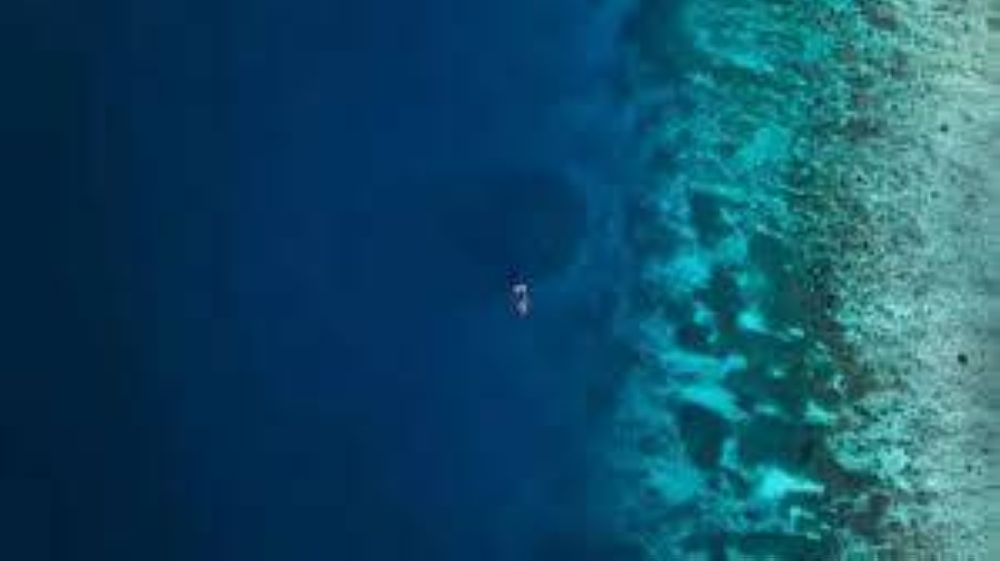 %d8%a7%d9%83%d8%aa%d8%b4%d8%a7%d9%81 %d9%85%d8%ae%d9%84%d9%88%d9%82 %d8%a8%d8%ad%d8%b1%d9%8a %d8%a8%d8%ad%d8%ac%d9%85 %d9%85%d9%84%d8%b9%d8%a8%d9%8a %d9%83%d8%b1%d8%a9 %d8%b3%d9%84%d8%a9