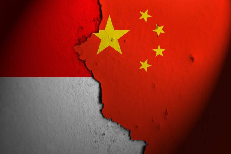 %d8%a7%d9%84%d9%84%d9%8a%d8%ab%d9%8a%d9%88%d9%85 %d9%88%d8%a7%d9%84%d8%b7%d8%a7%d9%82%d8%a9 %d8%a7%d9%84%d8%ae%d8%b6%d8%b1%d8%a7%d8%a1 %d9%8a%d8%aa%d8%b5%d8%af%d8%b1%d8%a7%d9%86 %d8%b5%d9%81%d9%82