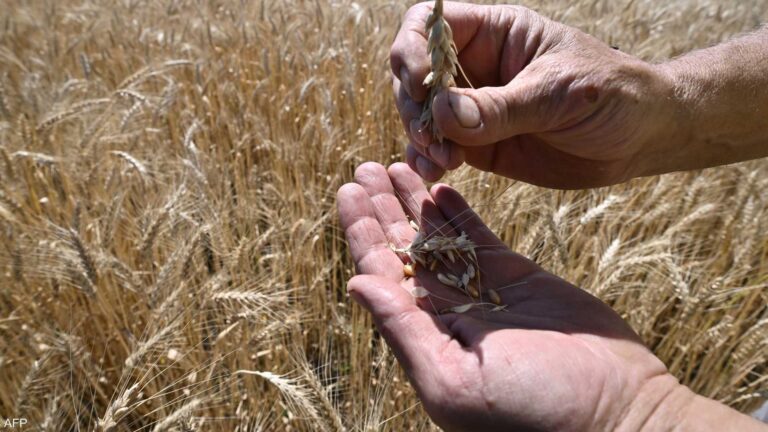 %d8%b1%d9%88%d8%b3%d9%8a%d8%a7 %d8%aa%d8%aa%d9%88%d9%82%d8%b9 %d8%aa%d8%b5%d8%af%d9%8a%d8%b1 %d9%86%d8%ad%d9%88 60 %d9%85%d9%84%d9%8a%d9%88%d9%86 %d8%b7%d9%86 %d9%85%d9%86 %d8%a7%d9%84%d8%ad%d8%a8