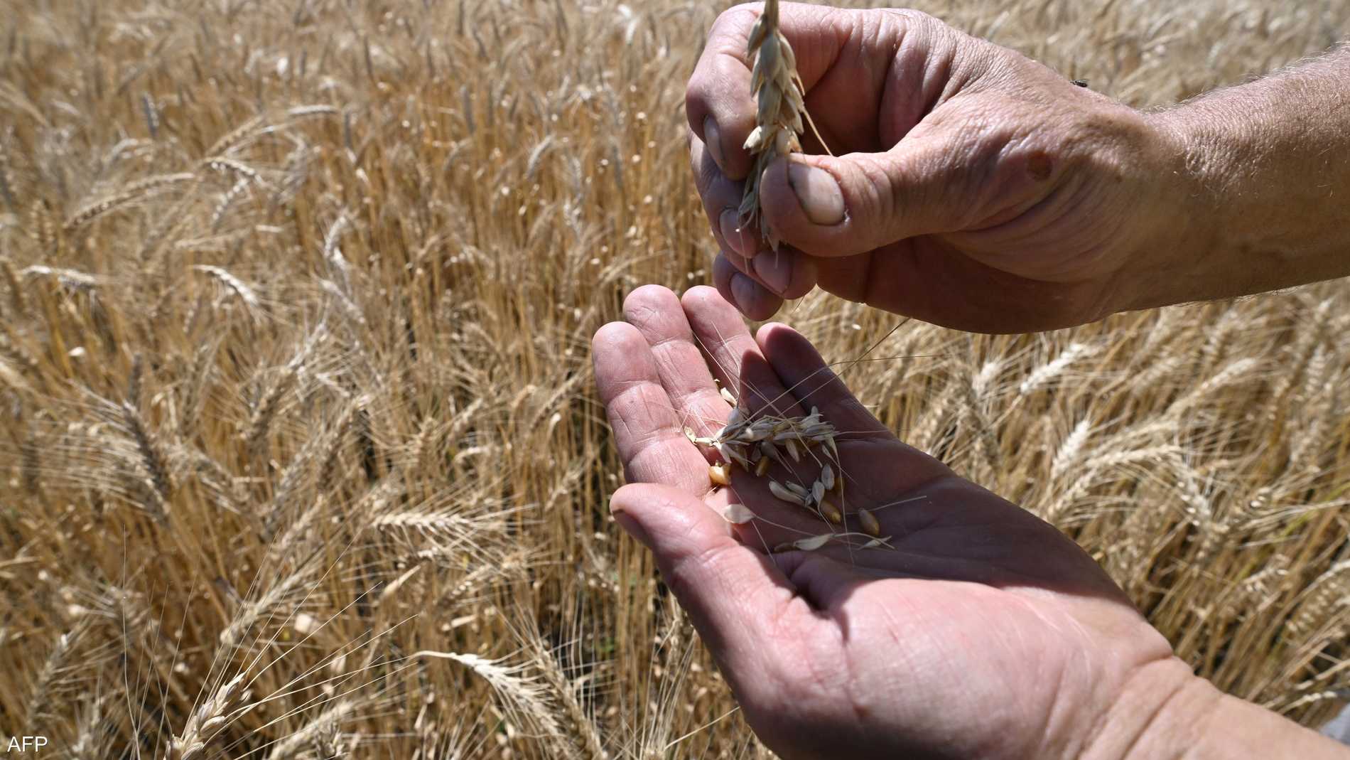 %d8%b1%d9%88%d8%b3%d9%8a%d8%a7 %d8%aa%d8%aa%d9%88%d9%82%d8%b9 %d8%aa%d8%b5%d8%af%d9%8a%d8%b1 %d9%86%d8%ad%d9%88 60 %d9%85%d9%84%d9%8a%d9%88%d9%86 %d8%b7%d9%86 %d9%85%d9%86 %d8%a7%d9%84%d8%ad%d8%a8