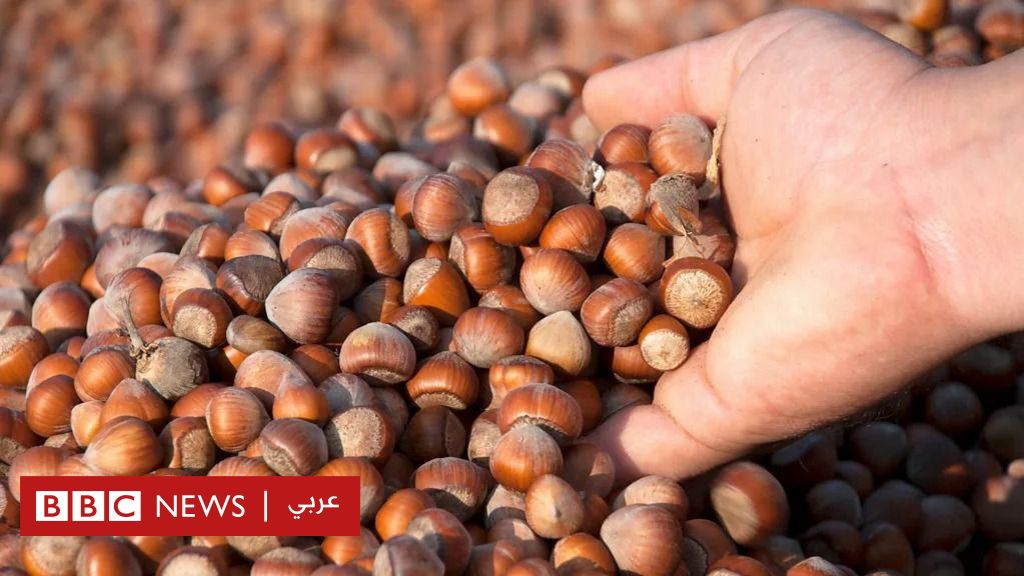 %d8%b9%d8%a7%d8%b5%d9%85%d8%a9 %d8%a7%d9%84%d8%a8%d9%86%d8%af%d9%82 %d9%81%d9%8a %d8%a7%d9%84%d8%b9%d8%a7%d9%84%d9%85 %d9%85%d9%87%d8%af%d8%af%d8%a9 %d8%a8%d8%aa%d8%ba%d9%8a%d8%b1 %d8%a7%d9%84