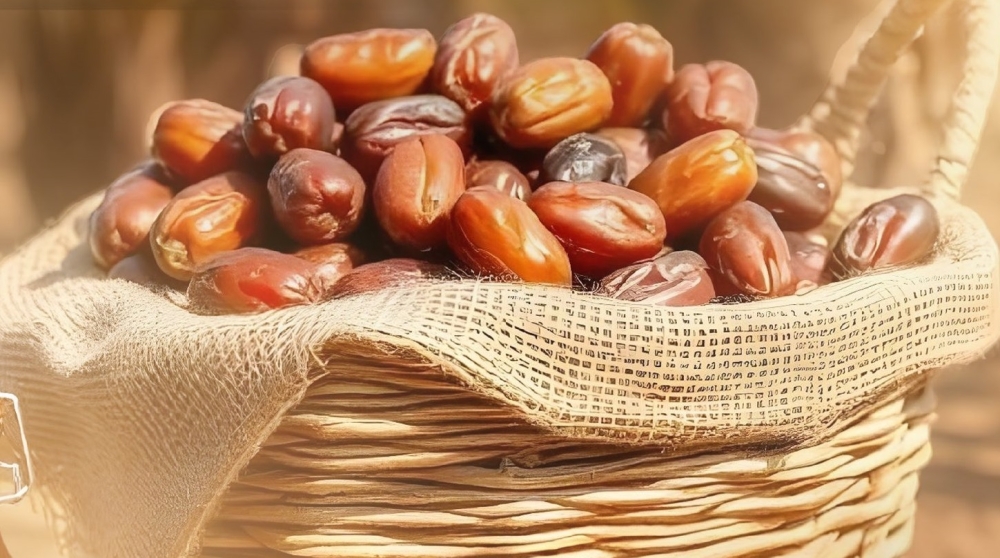 %d8%a7%d9%84%d8%b1%d9%8a%d8%a7%d8%b6 %d8%aa%d8%b3%d8%aa%d8%b6%d9%8a%d9%81 %d8%a3%d8%b9%d9%85%d8%a7%d9%84 %d8%a7%d9%84%d8%af%d9%88%d8%b1%d8%a9 %d8%a7%d9%84%d8%b1%d8%a7%d8%a8%d8%b9%d8%a9 %d9%84%d8%a3