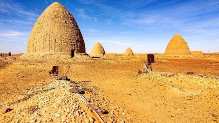 %d8%ae%d9%84%d9%8a%d8%a9 %d8%a7%d9%84%d9%86%d8%ad%d9%84 %d9%85%d8%af%d8%a7%d9%81%d9%86 %d8%ba%d8%a7%d9%85%d8%b6%d8%a9 %d8%a8%d9%8a%d9%86 %d8%a7%d9%84%d8%b1%d9%85%d8%a7%d9%84 %d9%88%d8%a7%d9%84%d8%aa