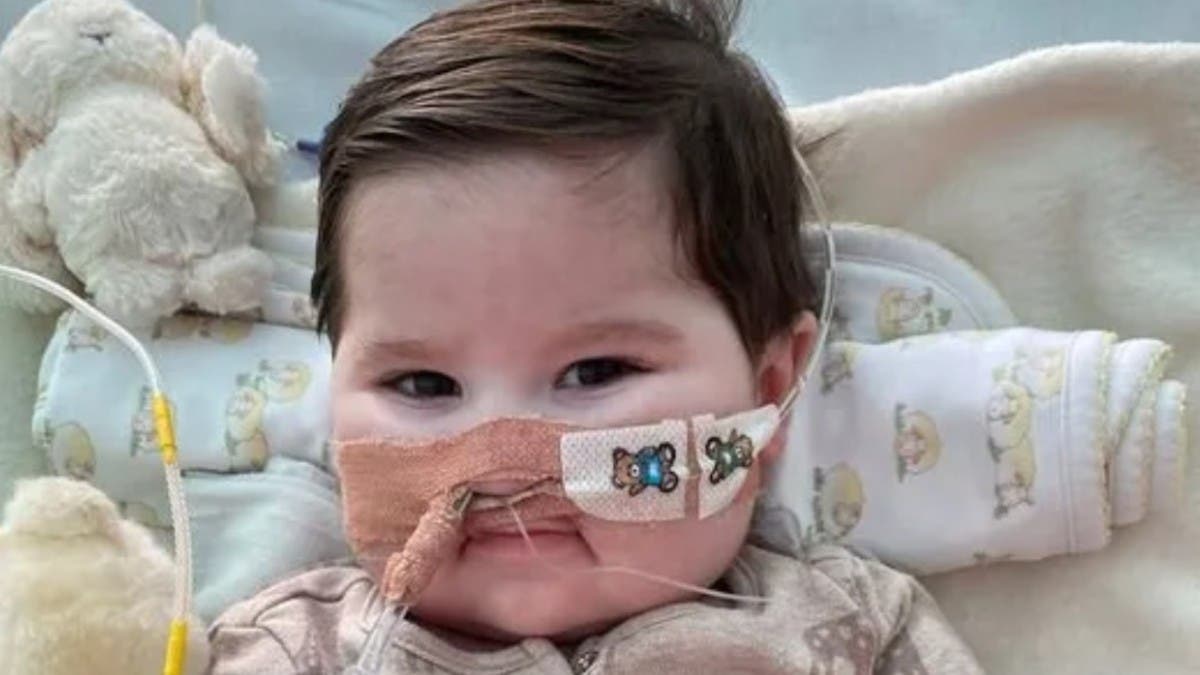 %d8%b7%d9%81%d9%84 %d9%8a%d9%85%d9%88%d8%aa %d8%a8%d8%ad%d9%83%d9%85 %d9%82%d8%b6%d8%a7%d8%a6%d9%8a %d8%b3%d8%ad%d8%a8%d9%88%d8%a7 %d8%b9%d9%86%d9%87 %d8%a3%d8%ac%d9%87%d8%b2%d8%a9 %d8%a7%d9%84