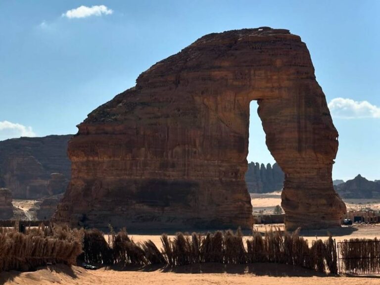 %d8%aa%d8%ad%d9%81 %d8%a5%d9%8a%d8%b7%d8%a7%d9%84%d9%8a%d9%91%d8%a9 %d9%82%d8%af%d9%8a%d9%85%d8%a9 %d8%aa%d9%8f%d8%b9%d8%b1%d8%b6 %d9%81%d9%8a %d8%a7%d9%84%d8%b9%d9%8f%d9%84%d8%a7 %d9%84%d9%84%d8%a7