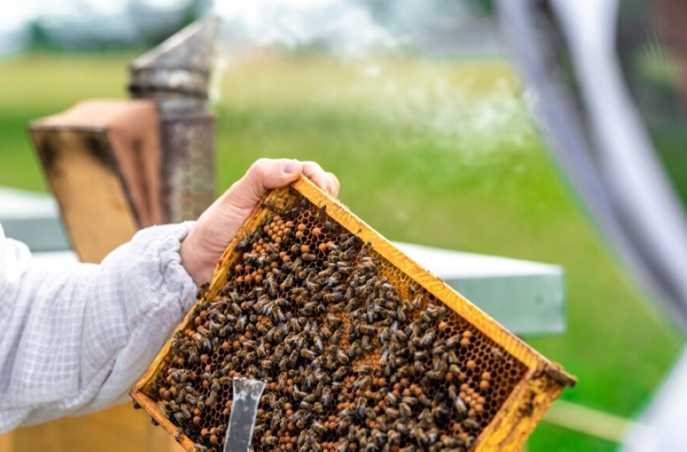 %d9%88%d9%82%d8%a7%d8%a1 %d9%8a%d9%88%d8%b7%d9%91%d9%86 %d8%a5%d9%86%d8%aa%d8%a7%d8%ac %d8%a7%d9%84%d9%83%d8%a7%d8%a6%d9%86%d8%a7%d8%aa %d8%a7%d9%84%d8%ad%d9%8a%d8%a9 %d8%a7%d9%84