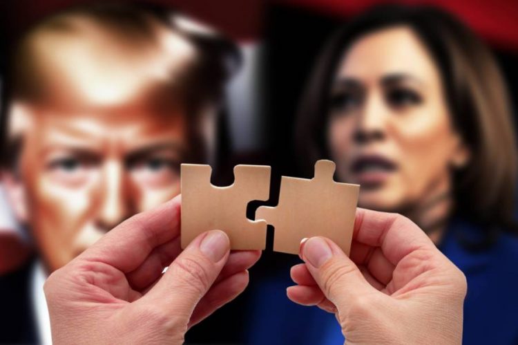 %d9%85%d8%a7%d8%b0%d8%a7 %d9%8a%d8%ad%d8%af%d8%ab %d8%ad%d8%a7%d9%84 %d8%aa%d8%b9%d8%a7%d8%af%d9%84 %d8%aa%d8%b1%d8%a7%d9%85%d8%a8 %d9%88%d9%87%d8%a7%d8%b1%d9%8a%d8%b3 %d9%81%d9%8a %d8%a7%d9%84%d8%a7