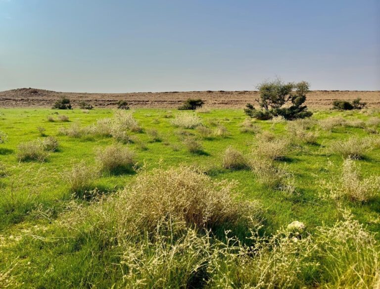 %d8%b5%d9%88%d8%b1 %d8%a8%d8%b9%d8%af %d9%87%d8%b7%d9%88%d9%84 %d8%a7%d9%84%d8%a3%d9%85%d8%b7%d8%a7%d8%b1 %d8%b6%d9%88%d8%a7%d8%ad%d9%8a %d8%b1%d9%81%d8%ad%d8%a7%d8%a1 %d8%aa%d9%83%d8%aa%d8%b3