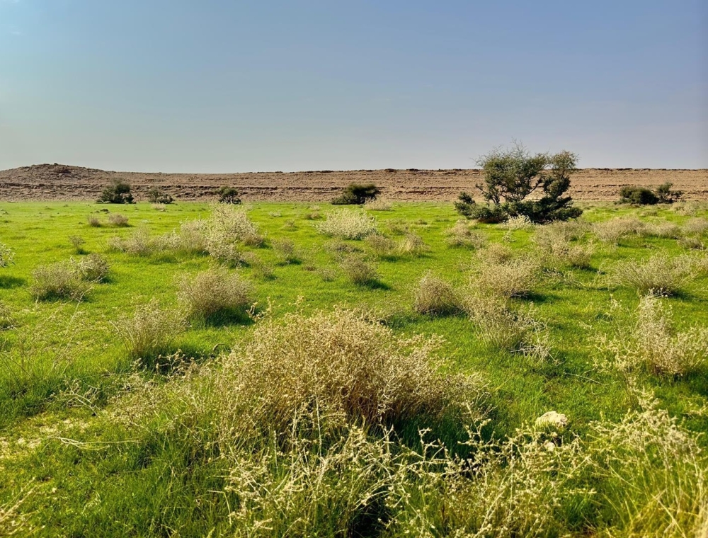 %d8%b5%d9%88%d8%b1 %d8%a8%d8%b9%d8%af %d9%87%d8%b7%d9%88%d9%84 %d8%a7%d9%84%d8%a3%d9%85%d8%b7%d8%a7%d8%b1 %d8%b6%d9%88%d8%a7%d8%ad%d9%8a %d8%b1%d9%81%d8%ad%d8%a7%d8%a1 %d8%aa%d9%83%d8%aa%d8%b3