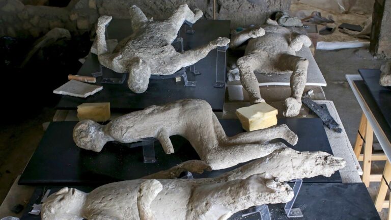 %d8%ae%d8%b1%d8%a7%d9%81%d8%a9 %d8%b9%d8%a7%d8%b4%d8%aa %d8%a2%d9%84%d8%a7%d9%81 %d8%a7%d9%84%d8%b3%d9%86%d9%8a%d9%86 %d8%af%d8%b1%d8%a7%d8%b3%d8%a9 %d8%aa%d9%83%d8%b4%d9%81 %d9%87%d9%88%d9%8a%d8%a9