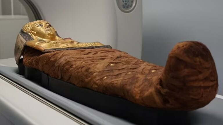 %d9%83%d9%8a%d9%81 %d9%88%d8%b6%d8%b9%d8%aa %d8%af%d8%a7%d8%ae%d9%84 %d8%a7%d9%84%d8%aa%d8%a7%d8%a8%d9%88%d8%aa%d8%9f %d9%81%d9%83%d9%8f%d9%91 %d9%84%d8%ba%d8%b2 %d9%85%d9%88%d9%85%d9%8a%d8%a7%d8%a1