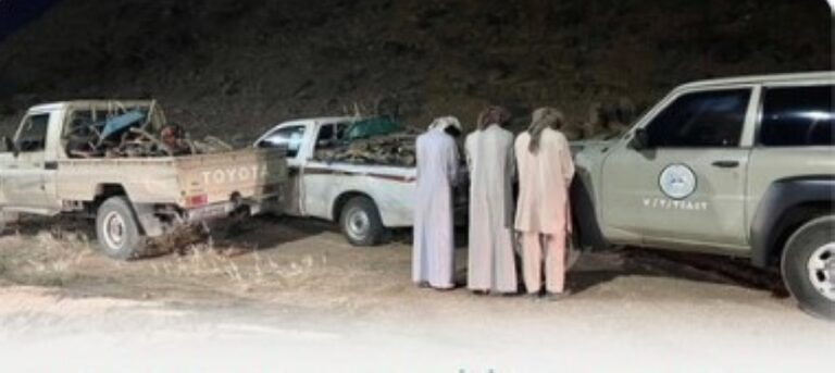 %d8%b6%d8%a8%d8%b7 3 %d9%85%d8%ae%d8%a7%d9%84%d9%81%d9%8a%d9%86 %d9%84%d9%86%d8%b8%d8%a7%d9%85 %d8%a7%d9%84%d8%a8%d9%8a%d8%a6%d8%a9 %d9%84%d9%82%d8%b7%d8%b9%d9%87%d9%85 %d8%a7%d9%84%d8%a3%d8%b4%d8%ac