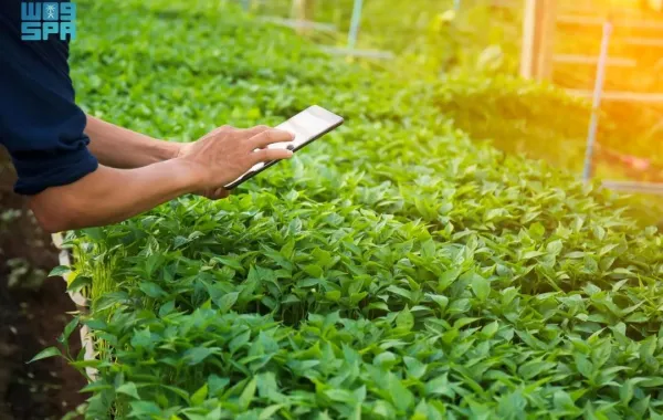 %d8%a7%d9%84%d8%aa%d9%83%d9%86%d9%88%d9%84%d9%88%d8%ac%d9%8a%d8%a7 %d9%88%d8%a7%d9%84%d8%a7%d8%a8%d8%aa%d9%83%d8%a7%d8%b1 %d8%b9%d9%84%d9%89 %d8%a3%d8%ac%d9%86%d8%af%d8%a9 %d8%a3%d9%8a%d8%a7%d9%85