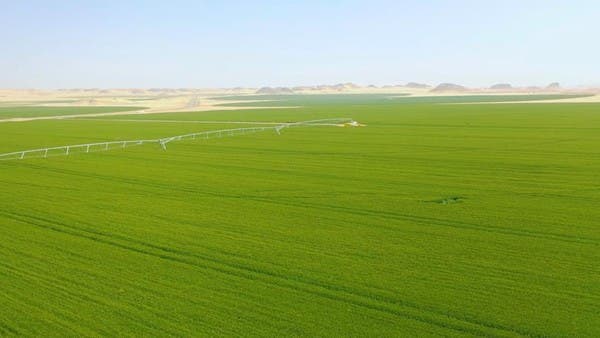 %d8%a7%d9%84%d8%b8%d8%a7%d9%87%d8%b1%d8%a9 %d8%a7%d9%84%d8%a5%d9%85%d8%a7%d8%b1%d8%a7%d8%aa%d9%8a%d8%a9 %d8%aa%d8%ae%d8%b7%d8%b7 %d9%84%d8%b4%d8%b1%d8%a7%d8%a1 90 %d8%a3%d9%84%d9%81 %d9%81%d8%af