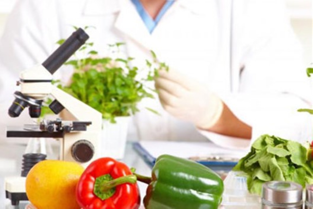 %d8%ad%d8%b8%d8%b1 %d8%a7%d9%84%d8%a3%d8%b3%d9%84%d8%a7%d9%83 %d9%88%d8%a7%d9%84%d8%a3%d9%86%d8%a7%d8%a8%d9%8a%d8%a8 15 %d8%b4%d8%b1%d8%b7%d9%8b%d8%a7 %d8%ac%d8%af%d9%8a%d8%af%d9%8b%d8%a7 %d9%84