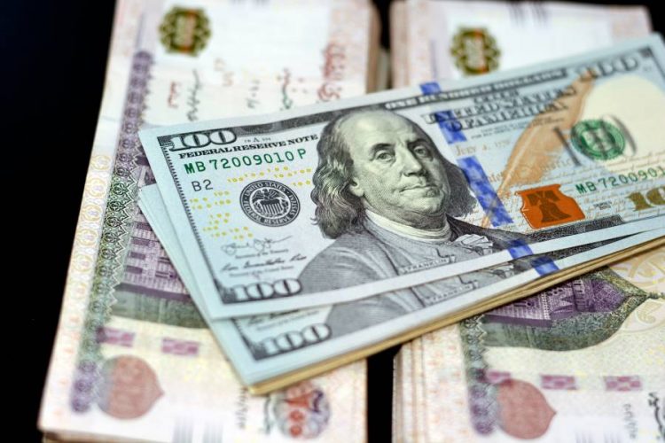 %d8%b3%d8%b9%d8%b1 %d8%a7%d9%84%d8%af%d9%88%d9%84%d8%a7%d8%b1 %d9%85%d9%82%d8%a7%d8%a8%d9%84 %d8%a7%d9%84%d8%ac%d9%86%d9%8a%d9%87 %d8%a7%d9%84%d9%85%d8%b5%d8%b1%d9%8a %d8%a7%d9%84%d9%8a%d9%88%d9%85