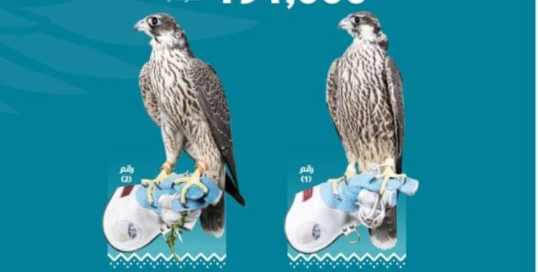 %d9%85%d8%b2%d8%a7%d8%af %d9%86%d8%a7%d8%af%d9%8a %d8%a7%d9%84%d8%b5%d9%82%d9%88%d8%b1 %d8%a8%d9%8a%d8%b9 %d8%b5%d9%82%d8%b1%d9%8a%d9%86 %d8%a8%d9%80 191 %d8%a3%d9%84%d9%81 %d8%b1%d9%8a%d8%a7%d9%84