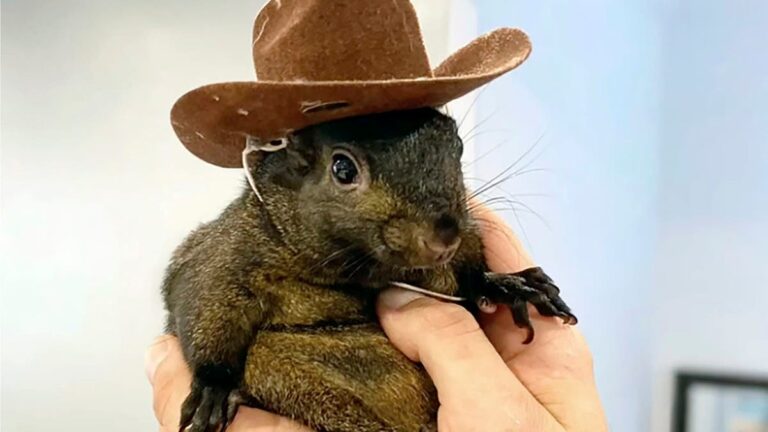 %d9%85%d9%86 %d8%a7%d9%84%d9%86%d8%ac%d9%88%d9%85%d9%8a%d8%a9 %d8%a5%d9%84%d9%89 %d8%a7%d9%84%d9%82%d8%aa%d9%84 %d8%a7%d9%84%d8%b1%d8%ad%d9%8a%d9%85 %d9%86%d9%87%d8%a7%d9%8a%d8%a9 %d9%85%d8%a3%d8%b3