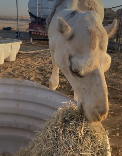 %d8%a7%d9%84%d8%b2%d8%b1%d8%a7%d8%b9%d8%a9 %d8%a7%d9%84%d8%a7%d9%87%d8%aa%d9%85%d8%a7%d9%85 %d8%a8%d9%86%d8%b8%d8%a7%d9%81%d8%a9 %d9%85%d8%b9%d8%a7%d9%84%d9%81 %d9%88%d9%85%d8%b4%d8%a7%d8%b1