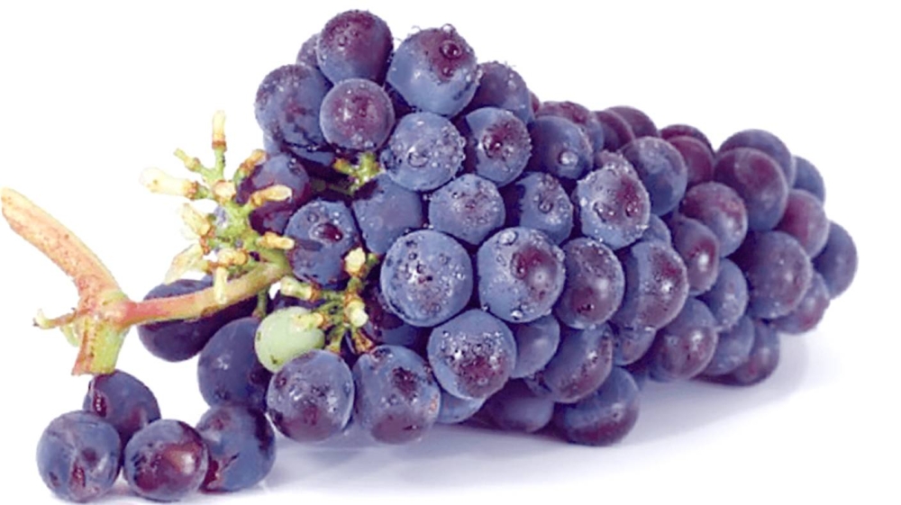 %d8%a7%d9%84%d8%b9%d9%86%d8%a8 %d8%a7%d9%84%d8%a3%d8%b3%d9%88%d8%af