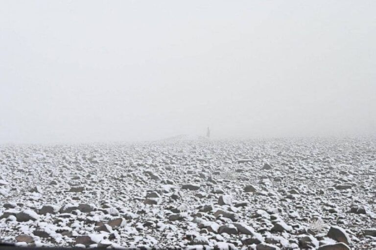 %d8%b7%d9%82%d8%b3 %d8%a7%d9%84%d9%85%d9%85%d9%84%d9%83%d8%a9 %d8%a7%d8%b3%d8%aa%d9%85%d8%b1%d8%a7%d8%b1 %d8%a7%d9%84%d9%85%d9%88%d8%ac%d8%a9 %d8%a7%d9%84%d8%a8%d8%a7%d8%b1%d8%af%d8%a9 %d9%88%d8%a3