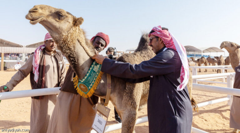 %d9%85%d9%86%d8%a7%d9%81%d8%b3%d8%a9 %d8%af%d9%82 %d8%a7%d9%84%d9%82%d8%b9%d8%af%d8%a7%d9%86 %d8%aa%d8%ae%d8%aa%d8%aa%d9%85 %d8%a3%d8%b4%d9%88%d8%a7%d8%b7 %d8%a7%d9%84%d9%81%d8%b1%d8%af