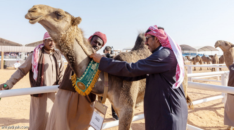 %d9%85%d9%86%d8%a7%d9%81%d8%b3%d8%a9 %d8%af%d9%82 %d8%a7%d9%84%d9%82%d8%b9%d8%af%d8%a7%d9%86 %d8%aa%d8%ae%d8%aa%d8%aa%d9%85 %d8%a3%d8%b4%d9%88%d8%a7%d8%b7 %d8%a7%d9%84%d9%81%d8%b1%d8%af